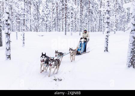 Süßes Mädchen, das gerne einen Hundeschlitten im schneebedeckten Wald fährt Stockfoto