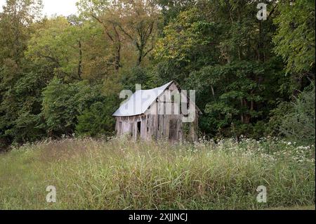 Verlassene Holzhütte in einem Feld, umgeben von dichtem Wald Stockfoto