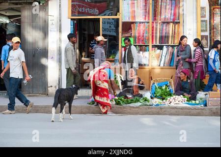 Straßenszene in Leh, mit Obst- und Gemüseverkäufern, die lokale Produkte anbieten, Indien Stockfoto