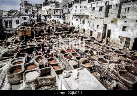 Gerbereien (Souk Dabbaghin). Fes el Bali. Fes. Imperial City. Marokko. Afrika. Stockfoto