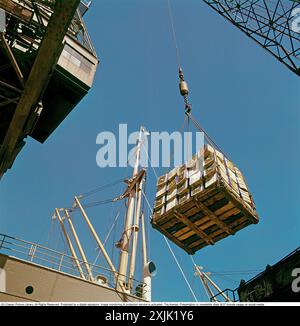 Be- und Entladung von Gütern vom Schiff Peru 1958 im Stockholmer Freihafen. Die Kisten enthalten Bananen und Obst für die Bananenfirma Schweden. Conard Ref. EC1014 Stockfoto