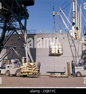 Be- und Entladung von Gütern vom Schiff Peru 1958 im Stockholmer Freihafen. Die Kisten enthalten Bananen und Obst für die Bananenfirma Schweden. Conard Ref. EC1014 Stockfoto