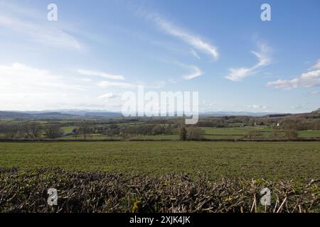 Blick von einem Fußweg, der zum Plateau der Hutton Roof Crags in der Nähe von Burton in Kendal Westmorland und Furness England führt Stockfoto