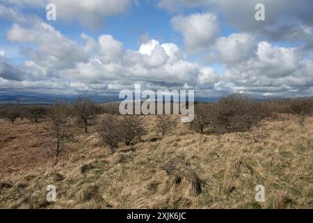 Farleton fiel von den Hängen des Hutton Roof Crag bei Burton in Kendal Westmorland und Furness oder Cumbria England Stockfoto