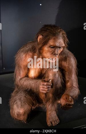 Homo habilis, Museo de la evolución humana, MEH, Burgos, Spanien Stockfoto