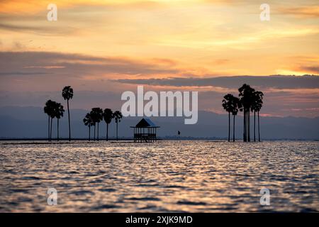 Wunderschöne Palmen Silhouetten bei Sonnenuntergang in der Mitte des tempe Sees in der Nähe von Singkang Stadt auf sulawesi Insel in indonesien, kleines Bauernhaus Stockfoto