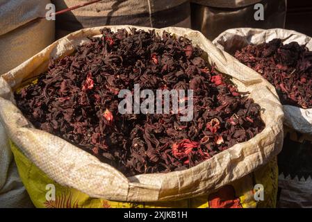 Kairo, Ägypten. Juli 2024. Säcke getrockneter Hibiskus-Blütenblätter werden auf dem Gewürzmarkt in Kairo zum Verkauf angeboten. Hibiscus wird zur Behandlung von Appetitverlust, Erkältungen, Herz- und Nervenerkrankungen und zur Unterstützung des Gewichtsverlustes verwendet. In Ägypten ist Hibiskus-Tee ein beliebter Kräutertee, der reich an Antioxidantien ist. (Foto: John Wreford/SOPA Images/SIPA USA) Credit: SIPA USA/Alamy Live News Stockfoto