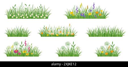 Blumen und Grasrand, Wiesenblumen und grünes Gras, Vektorillustration, Kartendekorationselement Stock Vektor