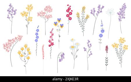Wildblumen Set. Sammlung von floralen und botanischen Elementen Stock Vektor