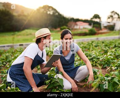 Glücklich, Paare und Landwirtschaft im Freien, Tablet und Liebe für Nachhaltigkeit, Frau und lachen mit Mann. Arbeiten, Ernten und Wachstum von Erntegemüse Stockfoto