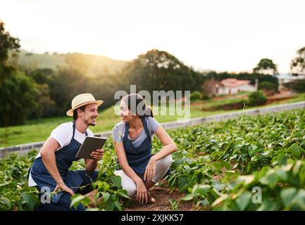 Sprechen, Paaren und Landwirtschaft im Freien, Tablet und Liebe für Nachhaltigkeit, Frau und lachen mit Mann. Arbeit, Ernten und Wachstum von Gemüse für Stockfoto