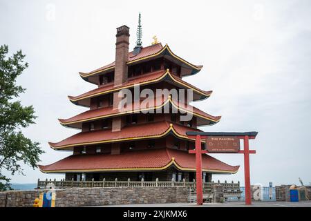 Überblick über eine asiatische Pagode mit Blick auf einen Wald und eine Stadt. Stockfoto