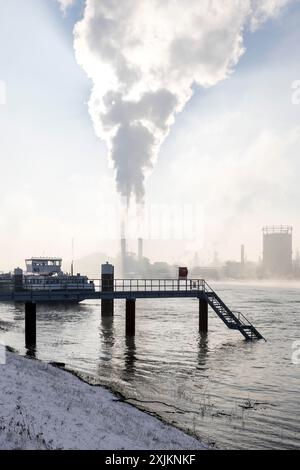 Bootsanleger am BASF-Standort am Rheinufer, Chemieunternehmen, Foggy Mood, Ludwigshafen, Rheinland-Pfalz, Deutschland Stockfoto