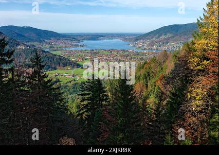 Rottach-Egern und Tegernsee, Blick über Baumspitzen von Wallberg, Mangfallgebirge, Bayerische Voralpen, Alpen, Oberbayern, Bayern, Deutschland Stockfoto