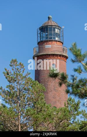 Leuchtturm, Darsser Ort, geboren a. Darss, Mecklenburg-Vorpommern, Deutschland Stockfoto