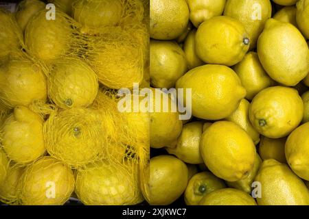 Collage Photo Collage Fotomontage zweier Fotos nebeneinander liegender Zitronen (Citrus limon) in umweltschädlichem Kunststoffnetz verpackt Stockfoto