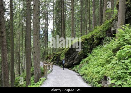 Weitwinkelblick auf den Wasserfallpfad, der durch einen wunderschönen Bergwald mit üppiger Bodenvegetation am Krimmler Wasserfall führt Stockfoto