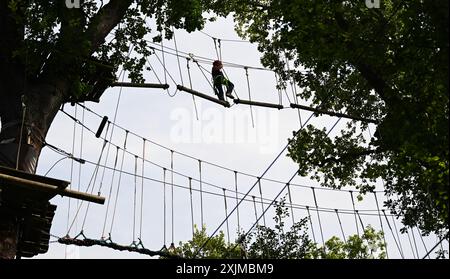 PRODUKTION - 19. Juli 2024, Hessen, Wiesbaden: Der Kletterwald Neroberg ist der Ort für einen kleinen Jungen. Der Kletterpark für junge und erfahrene Freizeitsportler liegt auf Wiesbadens Hausberg, umgeben von Buchen und Eichen. Der höchste Punkt ist ein Abenteuernest in einer Höhe von 25 Metern. Foto: Arne Dedert/dpa Stockfoto