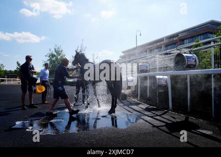 Nach den Einsätzen der Ivan Crawford British EBF Maiden Fillies während des IRE Incentive Raceday auf der Newbury Racecourse wird ein Pferd mit Wasser und Fans gekühlt. Bilddatum: Freitag, 19. Juli 2024. Stockfoto