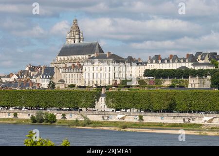 Panoramablick auf die mittelalterliche Stadt Blois & königliche Burg, Cathédrale St. Louis von Vienne über das Ufer der Loire, Loir-et-Cher Frankreich Stockfoto