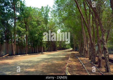 Wunderschöne Dorfstraße in Dschidda, Saudi-arabien Stockfoto