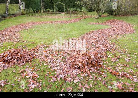 Blatthaufen auf Gras. Rasen im Herbst in einem großen englischen Garten, England, Großbritannien Stockfoto