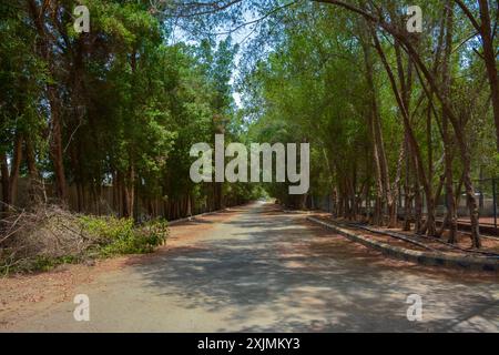 Wunderschöne Dorfstraße in Dschidda, Saudi-arabien Stockfoto