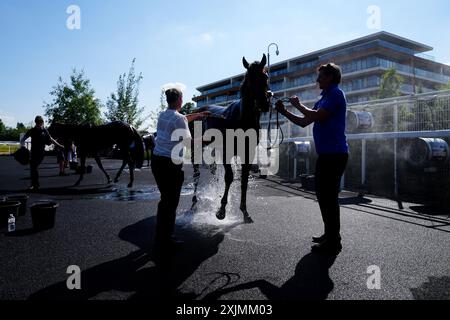Ein Pferd wird mit Wasser und Fans gekühlt, nachdem der IRE-Incentive - Pay to Buy Irish Rose Bowl Stakes während des IRE Incentive Raceday auf der Newbury Racecourse stattfindet. Bilddatum: Freitag, 19. Juli 2024. Stockfoto