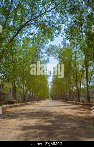 Wunderschöne Dorfstraße in Dschidda, Saudi-arabien Stockfoto