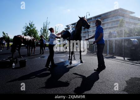 Ein Pferd wird mit Wasser und Fans gekühlt, nachdem der IRE-Incentive - Pay to Buy Irish Rose Bowl Stakes während des IRE Incentive Raceday auf der Newbury Racecourse stattfindet. Bilddatum: Freitag, 19. Juli 2024. Stockfoto