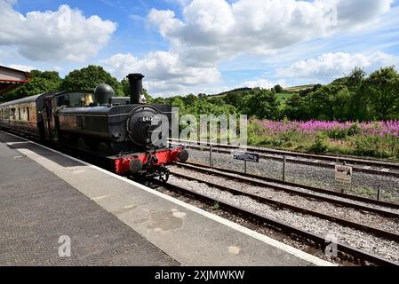 Koffer-Tank der GWR-Klasse 6400 Nr. 6412, Ankunft am Bahnhof Totnes Riverside an der South Devon Railway. Auf der rechten Seite befindet sich ein Fleck von Rosebay-Weidenweide. Stockfoto