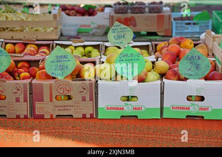 Ljubljana, Slowenien - 13. Oktober 2014: Slowenische Früchte einheimische Äpfel in Kartons und Kisten auf dem Bauernmarkt in der Hauptstadt Stockfoto