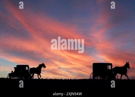 Verwenden Sie die Amish oder Plain Menschen in Pennsylvania Lancaster County, noch Pferden gezogene Buggys für den Transport Stockfoto