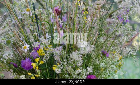 Wunderschöner Blumenstrauß im Sommer. Stockfoto