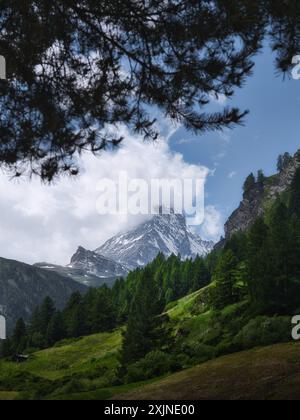 Blick auf das Matterhorn in der Schweiz, teilweise verborgen von Wolken über grünen Almwiesen und bewaldeten Hängen. Malerische Schweizer Alpenlandschaft mit Dramat Stockfoto