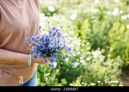 Frau mit Blumenstrauß auf blühender Wiese. Sommerwildblume Stockfoto