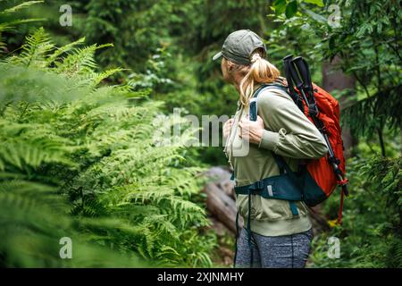 Wanderer sieht im Wald über die Schulter. Wandern in der Wildnis. Abenteuer in der Natur Stockfoto