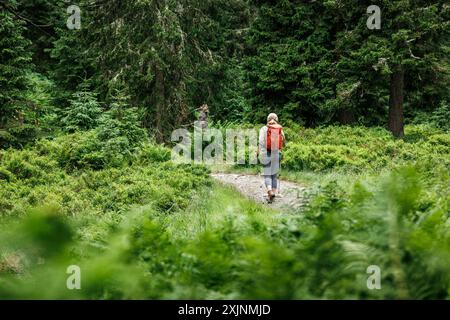 Frau Touristin mit Rucksack und Wanderstöcken, die auf einem Wanderweg im Wald spazieren Stockfoto