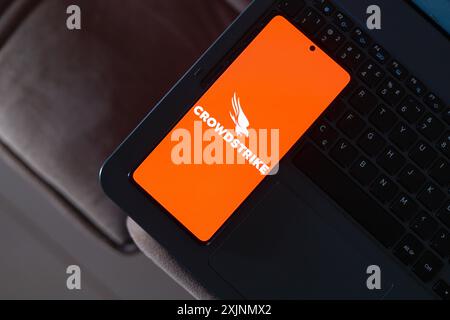 Paraguay. Juli 2024. In dieser Abbildung wird das Logo von CrowdStrike Holdings, Inc. Auf einem Smartphone-Bildschirm angezeigt. (Credit Image: © Jaque Silva/SOPA Images via ZUMA Press Wire) NUR REDAKTIONELLE VERWENDUNG! Nicht für kommerzielle ZWECKE! Stockfoto