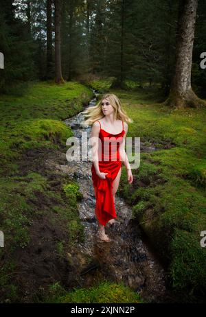 Eine wunderschöne Blondine in einem langen roten Kleid, die es hochhält, während sie einen Waldbach aufwacht. Stockfoto