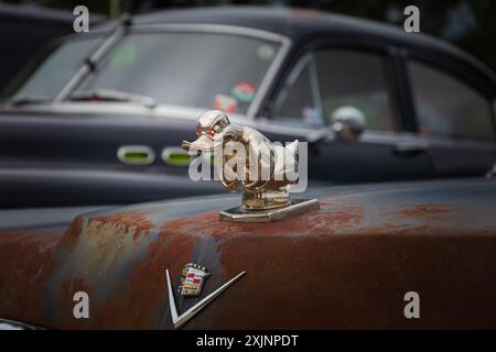 Der verwitterte Cadillac mit seinem einzigartigen Emblem an der Haube zieht neugierige Blicke und Bewunderung von den Besuchern der amerikanischen Autoausstellung, Highlight, auf sich Stockfoto