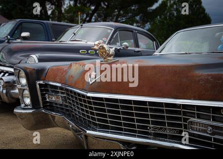 Der verwitterte Cadillac mit seinem einzigartigen Emblem an der Haube zieht neugierige Blicke und Bewunderung von den Besuchern der amerikanischen Autoausstellung, Highlight, auf sich Stockfoto