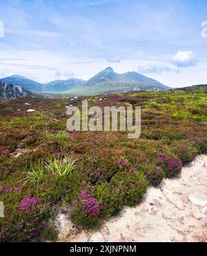 Mourne Mountains in Co. Down, Nordirland Stockfoto