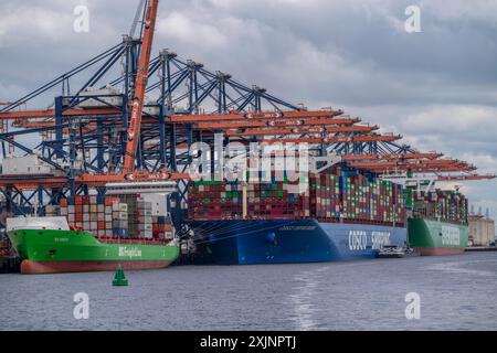 Euromax Container Terminal, BG Green Container Feedership, Containerfrachter Cosco Shipping Universe, vorne und immer genial, Evergreen Reederei, Stockfoto