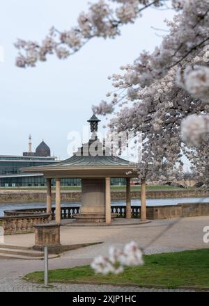 Alkove am Elbufer in Dresden im Park Japanisches Palais. Kirschblüte im Vordergrund. Konzentrieren Sie sich auf das Gebäude Stockfoto