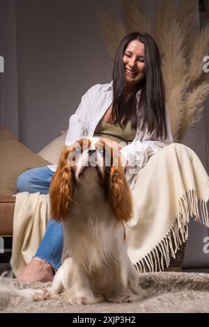 Eine süße junge schwangere Frau in weißem Hemd und blauer Jeans mit offenem Bauch sitzt zu Hause auf dem Sofa und schaut ihren Hund an. Kavalier King Charle Stockfoto