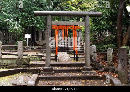Ein ruhiger Blick auf traditionellen Stein und lebendige orangene Torii-Tore, die durch einen Weg in einen japanischen Schrein führen, umgeben von üppigem Grün und Ananci Stockfoto