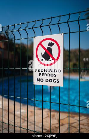 Ein No Dogs-Schild auf Spanisch und Englisch an einem Zaun um einen Pool herum, um eine haustierfreie Zone für Schwimmer zu gewährleisten. Sonniges Ambiente im Freien Stockfoto