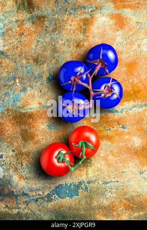 Konzeptionelle Darstellung genetisch veränderter Tomaten neben natürlichen Tomaten. Stockfoto