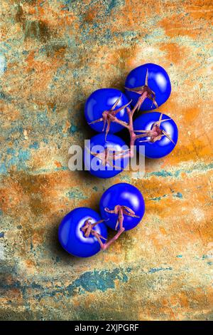 Konzeptionelle Darstellung genetisch veränderter Tomaten. Stockfoto